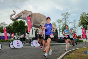 BIB: 
                            <button type="button" onclick="openModal(26528809)" class="btn btn-primary btn-sm float-right btn-popup" data-toggle="modal" data-target=".modal-high-quality">
                        <i class="fas fa-shopping-cart"></i> Add to Cart
                    </button>
                                            <button type="button" onclick="isThisMe(26528809, true)" class="btn btn-success btn-sm float-right btn-popup btn-isme hidden" data-toggle="tooltip" data-placement="bottom" title="นี่คือรูปของคุณใช่ไหม คลิกที่นี่เพื่อเอาเข้าอัลบั้ม">
                        <i class="fas fa-plus"></i> Add to album
                    </button>
                    <button type="button" onclick="isThisMe(26528809, false)" class="btn btn-warning btn-sm float-right btn-popup btn-isnotme hidden">
                        <i class="fas fa-ban"></i> Remove from album
                    </button>